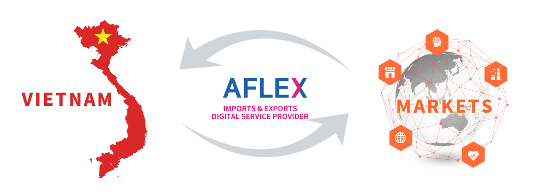 AFLEX : Digital Service Platform Provider